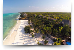 Zanzibar Educational 2017