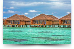 Cocoon Maldives