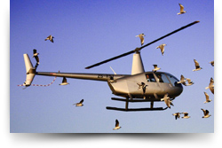 Cape Town Helicopters