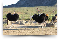 De Denne Counry Guest House