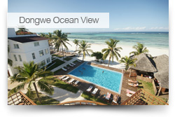 Dongwe Ocean View & Kichanga Lodge