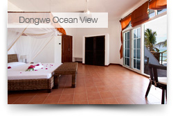 Dongwe Ocean View & Kichanga Lodge