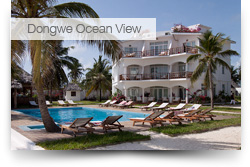 Dongwe Ocean View & Kichanga Lodge