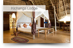 Dongwe Ocean View & Kichanga Lodge