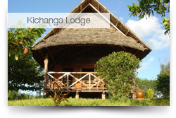 Dongwe Ocean View & Kichanga Lodge