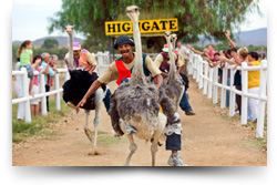 Highgate Ostrich Show Farm