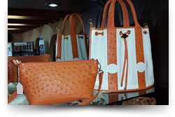 Highgate Ostrich Show Farm