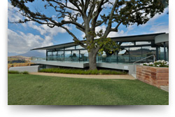 Louisvale Wines & Function Venue