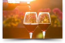 The Travelling Vineyard