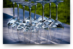 The Travelling Vineyard