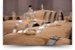 The Travelling Vineyard