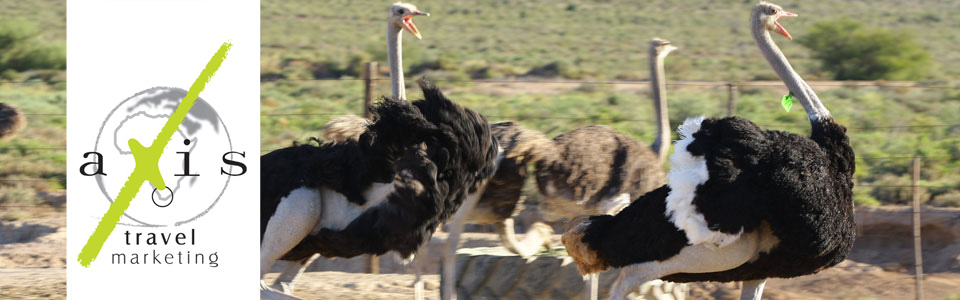 Highgate Ostrich Show Farm